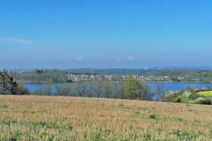 IMG_0236.jpeg